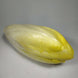 Endive (par 2)