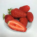 Fraise Gariguette (250g la barquette)