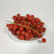 Groseille (la barquette 125g)