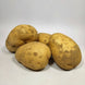Grosse pomme de terre (500 g)