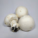 Champignon blanc (250 g)