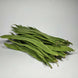 Haricot coco plat (300 g)