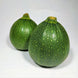 Courgette ronde (par 2)