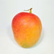 Mangue Kent (la pièce 580g - 610g)