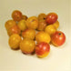 Mirabelle (500 g)