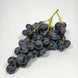 Muscat du Ventoux (500 g)