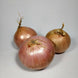 Oignon Roscoff (300 g)