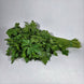 Persil (3/4 brin) Offert