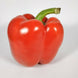 Poivron rouge (la pièce)