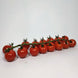 Tomate cerise (300 g)