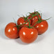 Tomate grappe (la grappe)
