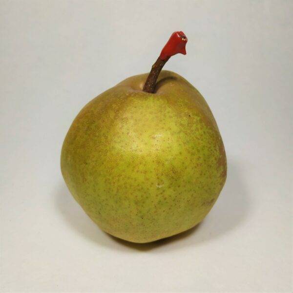 Poire Passe Crassane (la pièce)